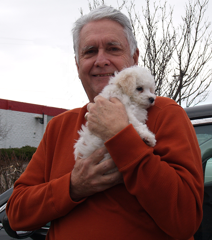 Bichon Frise Puppy Hood River Oregon