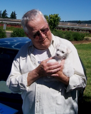 bichon frise puppies in oregon