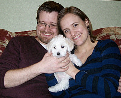 Bichon Frise Puppies