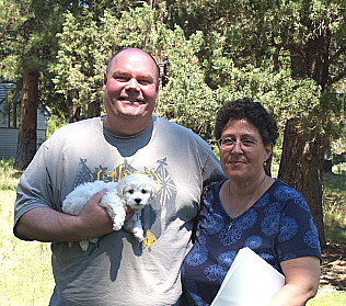 Bichon Frise puppy Olympia Washington Bichon Frise puppy Olympia Washington