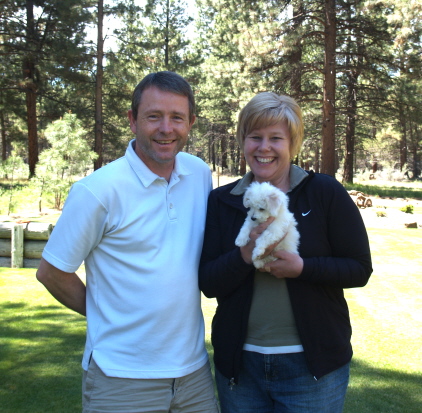 Bichon Frise Puppy Oregon City Oregon Bichon Frise Puppy Oregon City Oregon